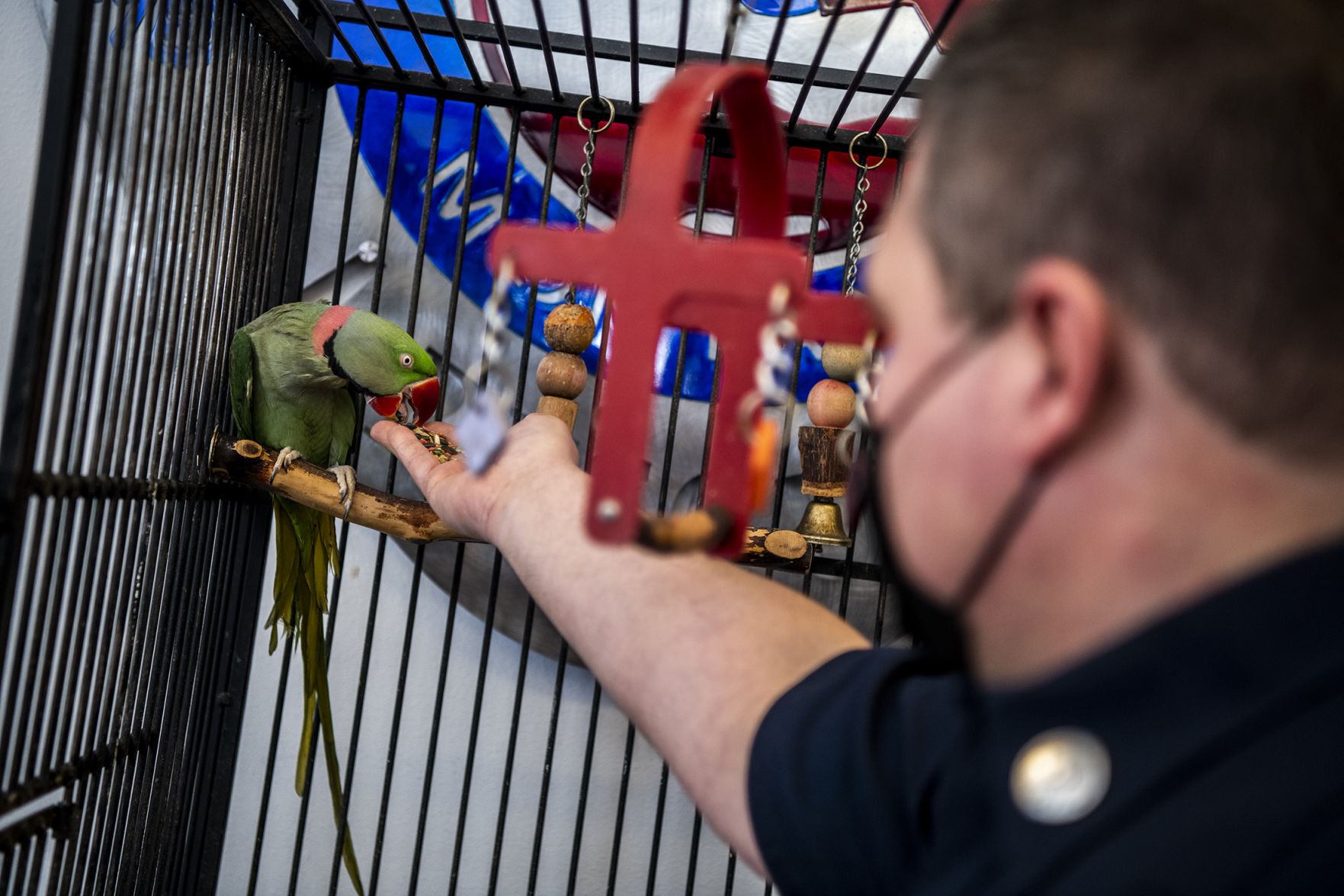 Parrot rescued in fire 04